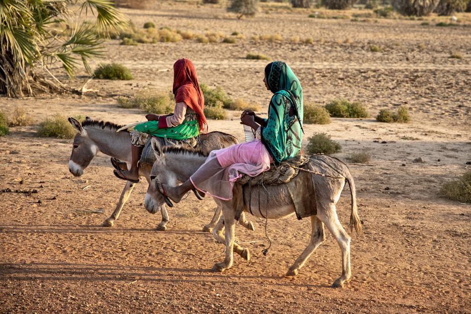 Messiria tribe