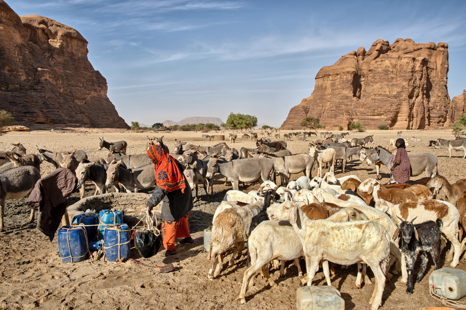 Messiria tribe
