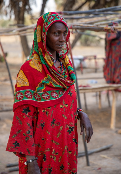 Messiria tribe