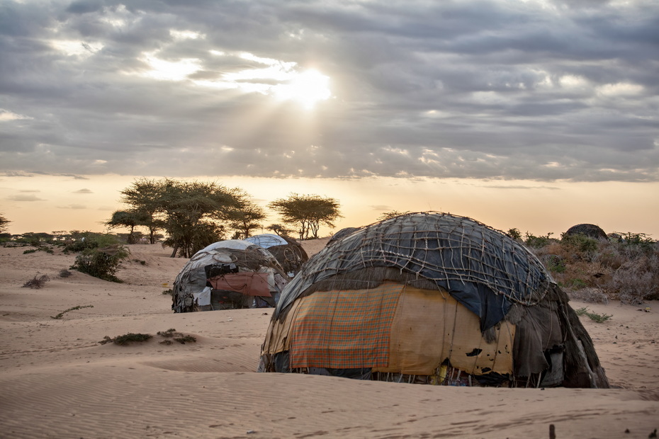 Rendille tribe