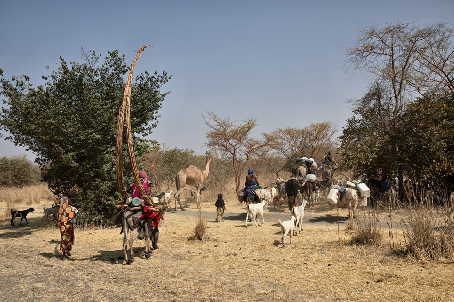 Waila tribe